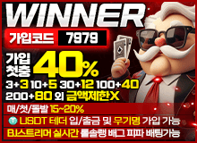 최대규모자금력 위너